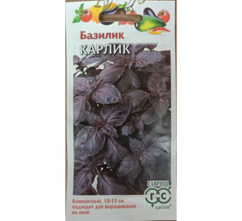 Базилик Карлик фиолетовый, 0,1 г, Гавриш