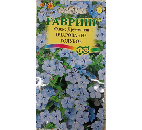 Флокс Друммонда Очарование голубое, 0,05 г, Гавриш
