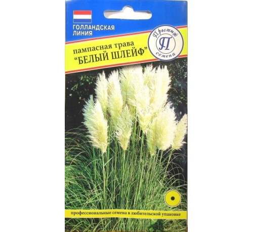 Пампасная трава (кортадерия) Белый Шлейф, 0,1 г, Престиж