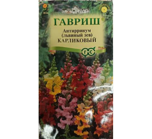 Антирринум (Львиный зев) Карликовый смесь, Гавриш