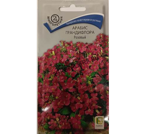 Арабис грандифлора Розовый, 0,1 г, Поиск