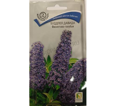 Буддлея Давида фиолетово-голубая, 0,01 г, Поиск