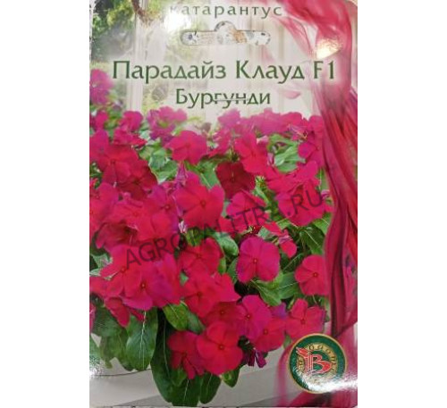 Петуния Дуо Бургунди махровая, 10 шт., Поиск