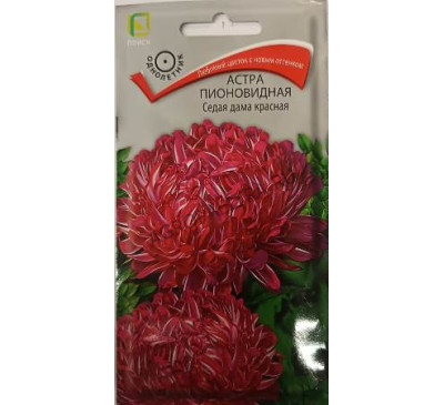 Астра Седая Дама красная, 0,3 г, Поиск