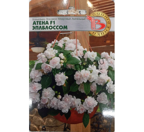 Бальзамин Валлера Атена Эплблоссом, 8 шт., Биотехника