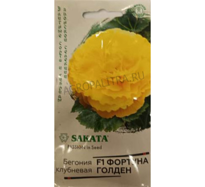 Бегония Фортуна Голден F1, гранулы 4 шт., Саката Гавриш