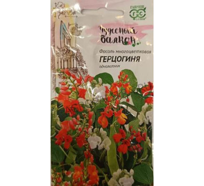 Фасоль многоцветковая (декоративная) Герцогиня, 5 шт., Гавриш