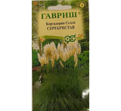 Кортадерия Серебристая (Пампасная трава), 8 шт., Гавриш