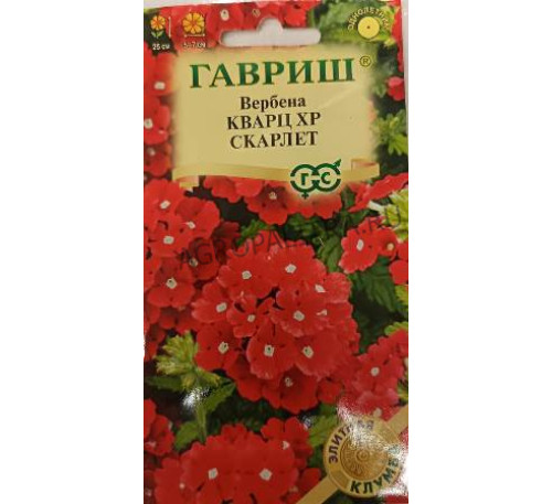 Вербена Кварц XP Скарлет, 4 шт., серия Элитная клумба Гавриш