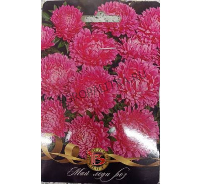 Астра китайская Май Леди Роз, 30 шт., Биотехника