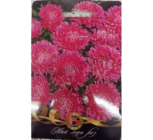 Астра китайская Май Леди Роз, 30 шт., Биотехника