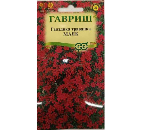 Гвоздика травянка Маяк, 0,05 г, Гавриш
