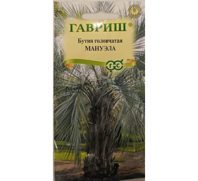 Бутия головчатая Мануэла, 3 шт., Гавриш