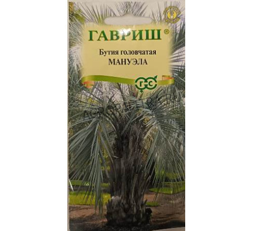 Бутия головчатая Мануэла, 3 шт., Гавриш