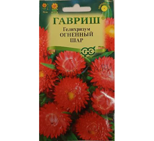 Гелихризум Огненный шар, 0,1 г, Гавриш