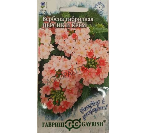 Вербена Персик и Крем, 0,05 г, Гавриш