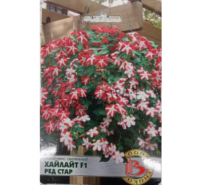 Импатиенс Хайлайт Ред Стар, 10 шт., Биотехника