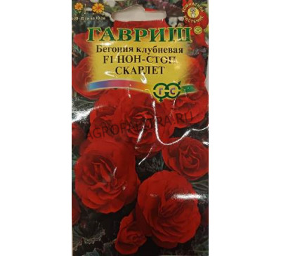 Бегония Нон-стоп Скарлет F1, 4 шт., Гавриш