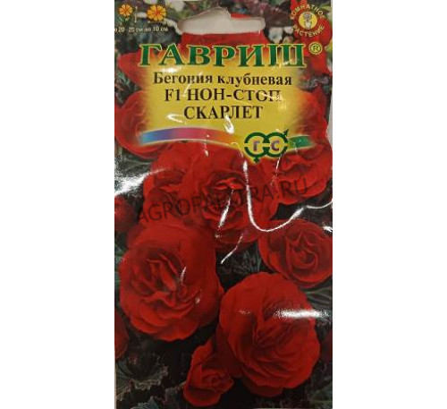 Бегония Нон-стоп Скарлет F1, 4 шт., Гавриш