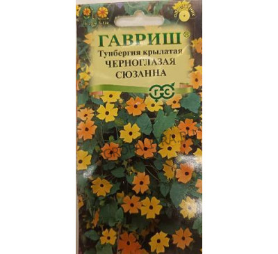 Тунбергия крылатая Черноглазая Сюзанна, 0,3 г, Гавриш
