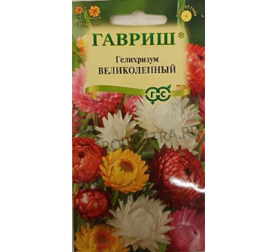 Гелихризум Великолепный смесь, 0,1 г, Гавриш