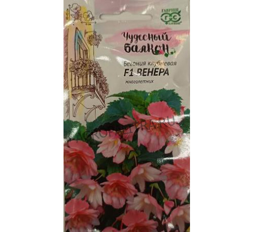 Бегония Венера F1, 4 шт., серия Чудесный балкон Гавриш