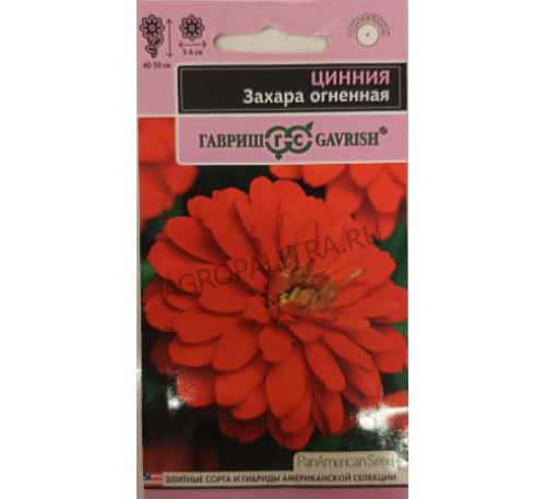 Цинния Захара огненная, 5 шт., Гавриш
