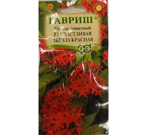 Пентас ланцетный Счастливая звезда красная F1, 3 шт., Гавриш