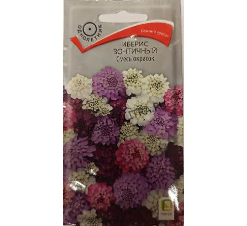 Иберис зонтичный Смесь окрасок, 0,5 г, Поиск