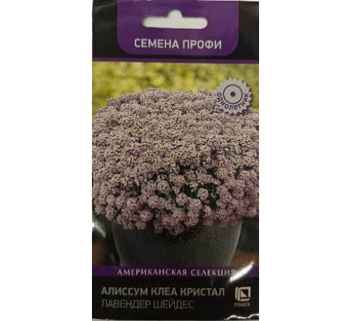 Алиссум Клеа Кристал Лавендер Шейдес, 20 шт., Поиск