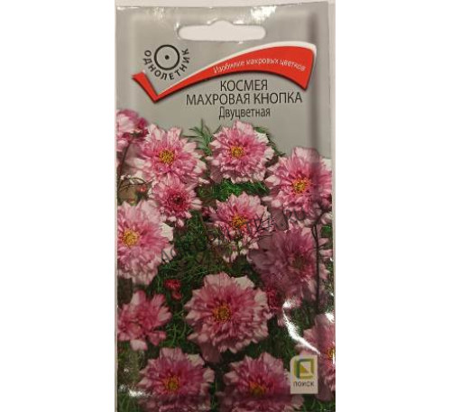 Космея Махровая кнопка двуцветная, 0,1 г, Поиск