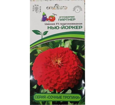 Цинния Нью-Йоркер F1, 4 шт. 2-ной пак., Партнер
