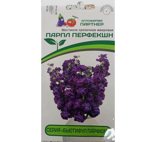Маттиола Парпл Перфекшн, 10 шт. 2-ной пак., Партнер