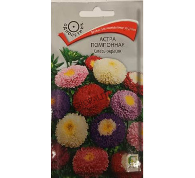 Астра помпонная Смесь окрасок, 0,3 г, Поиск