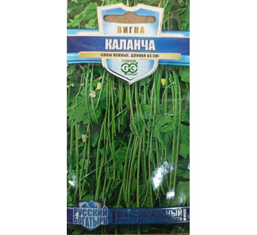 Вигна Каланча, 10 шт., Гавриш