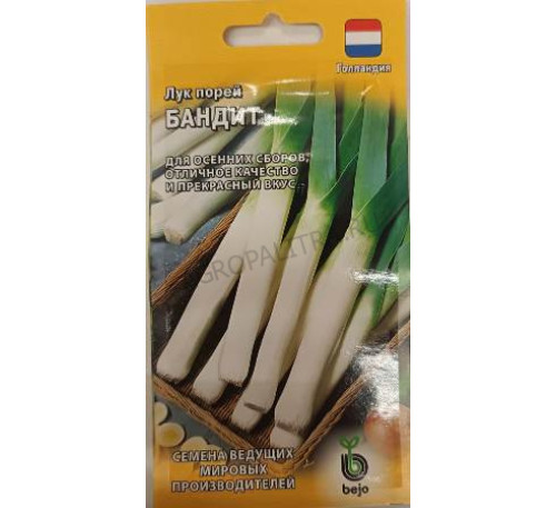 Лук порей Бандит, 0,2 г, (Голландия) Гавриш