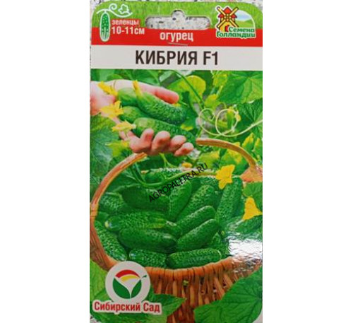 Огурец Кибрия F1, 5 шт., Сибирский сад