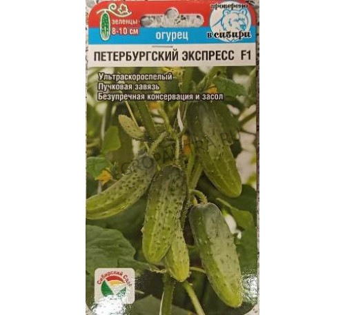 Огурец Петербургский экспресс F1, 7 шт., Сибирский сад