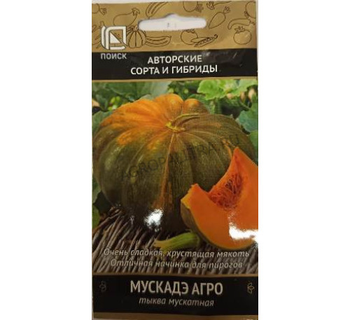 Тыква Мускадэ Агро мускатная, 10 шт., Поиск