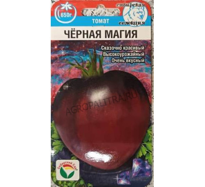 Томат Черная магия, 20 шт., Сибирский сад