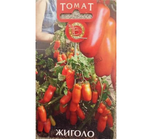 Томат Жиголо, 20 шт., Биотехника