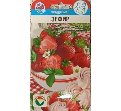 Земляника Зефир, 10 шт., Сибирский сад